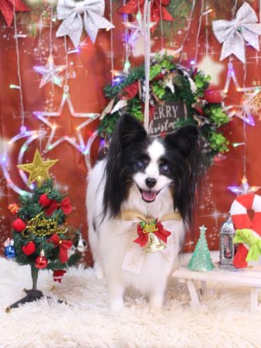 20231223ととくん